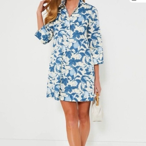 Tuckernuck Dresses & Skirts - Tuckernuck Blue Floral Shirt mini Dress